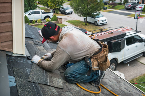 Professional Gutter Repair And Installation technician working in Camp Hill, AL